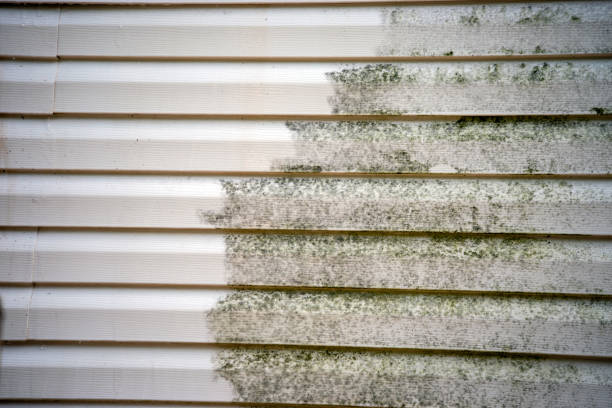 Trusted Westfield, NJ Siding Installation & Repair Experts